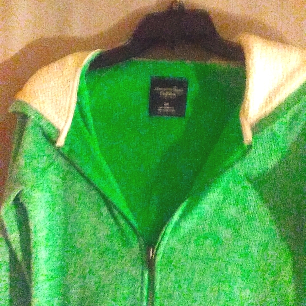 American Eagle Outfitters green hoodie with faux fur hood.